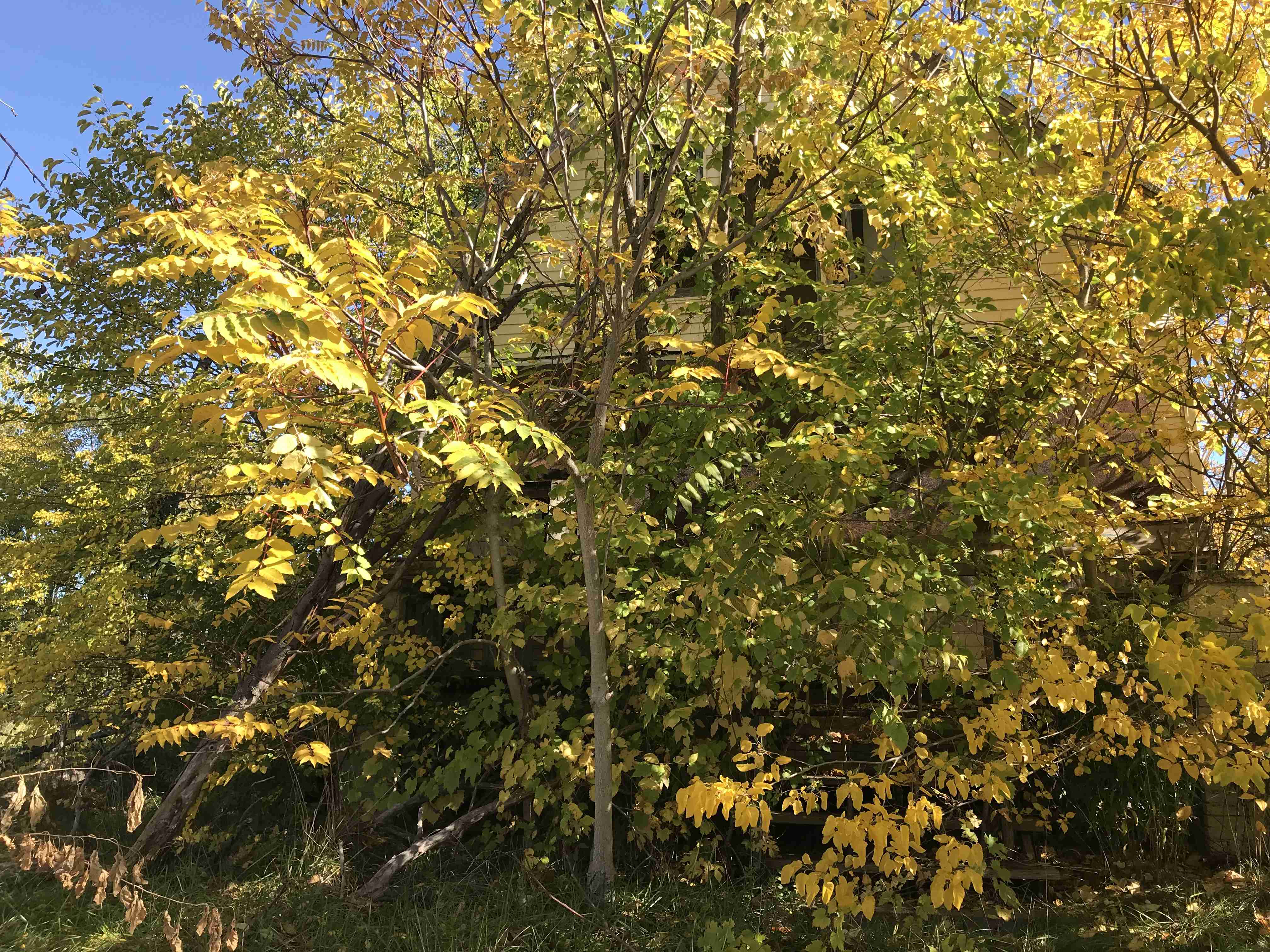 Photo Oct 13, 12 04 03 PM.jpg